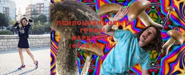 марки lsd Богданович